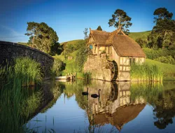 Auckland to Hobbiton Movie Set Private Tour